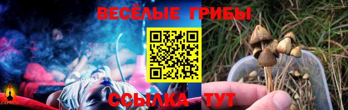 Артём  Псилоцибиновые грибы MAGIC MUSHROOMS  наркота  Вход с VPN 